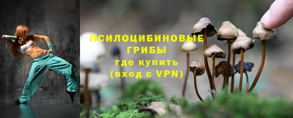 дживик Ладушкин