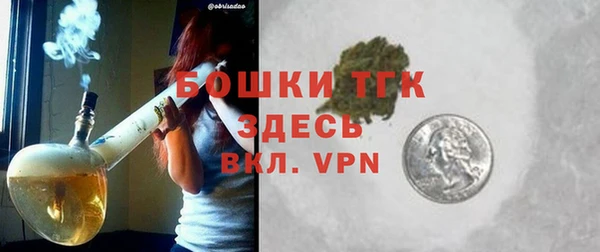 индика Лагань