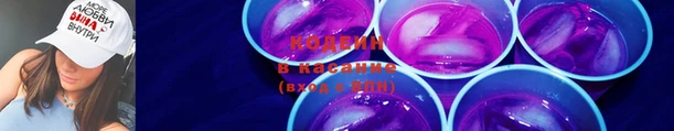 индика Лагань
