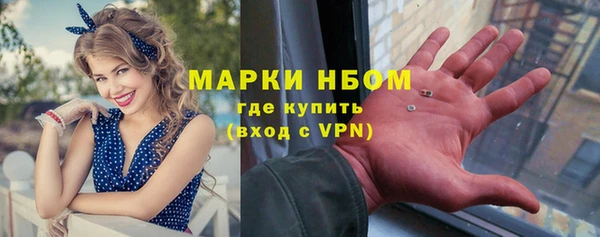 индика Лагань