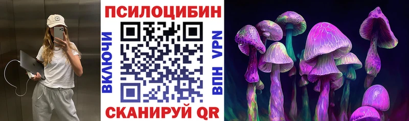 Псилоцибиновые грибы GOLDEN TEACHER Купить где Дмитров